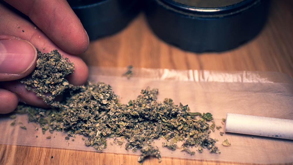Flows bio CBD Tüte Zerkleinertes CBD wird auf Paper gelegt