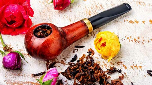 Welchen Tee Kann Man Rauchen Kann man Tee rauchen? - FLOW'S BIO