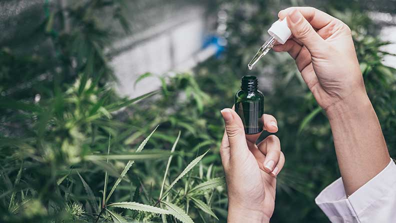 Forscher hält Cannabis-Tropfen in der Hand