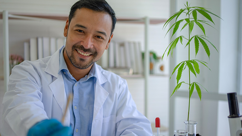 Wissenschaftler untersucht Cannabis und die Auswirkungen durch das Verdampfen