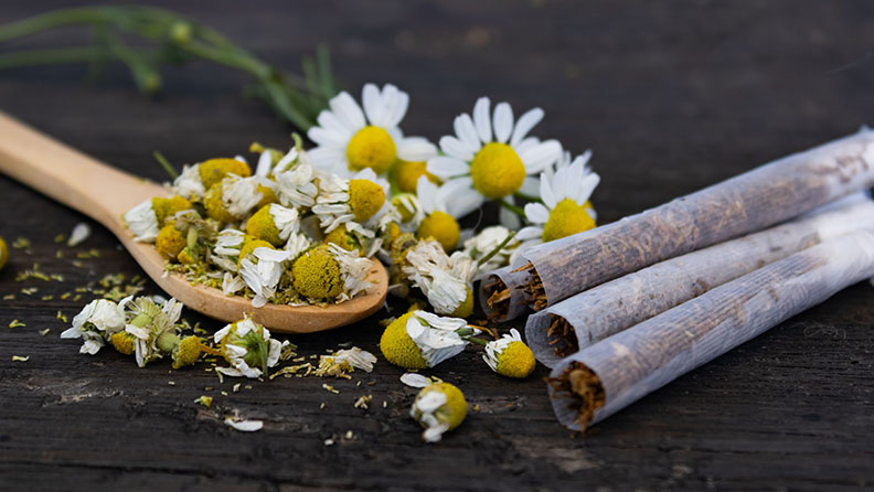Einige Kräuterzigaretten auf dem Tisch, die mit Kamille gefüllt sind